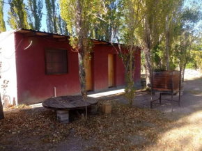 Cabañas Zorzal Rodeo